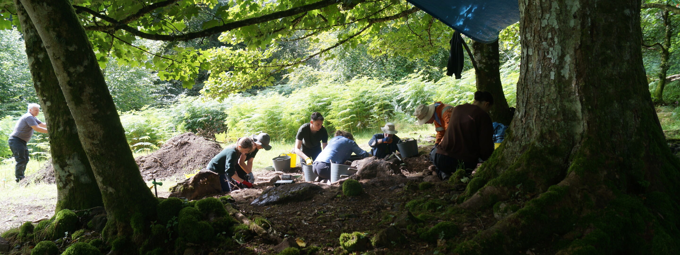 Dig group darker