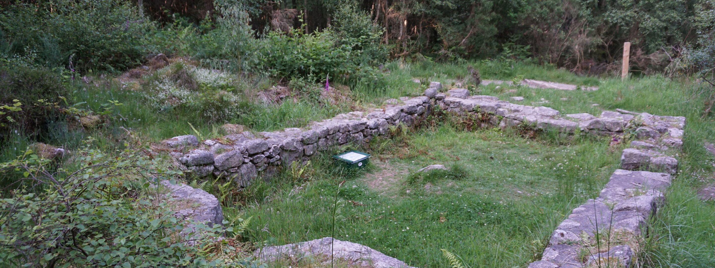 Cairn Couttie