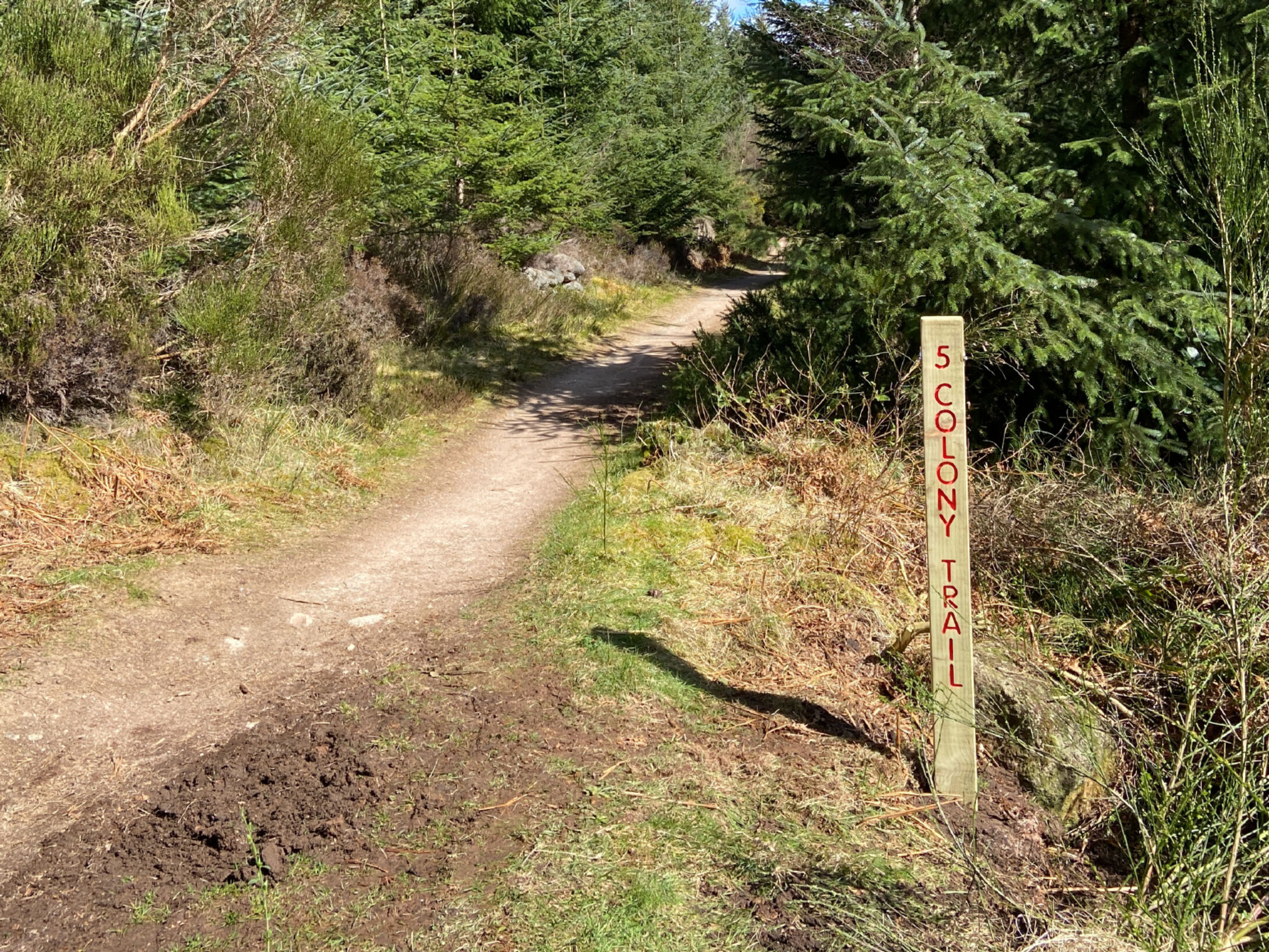 WP colony site 7