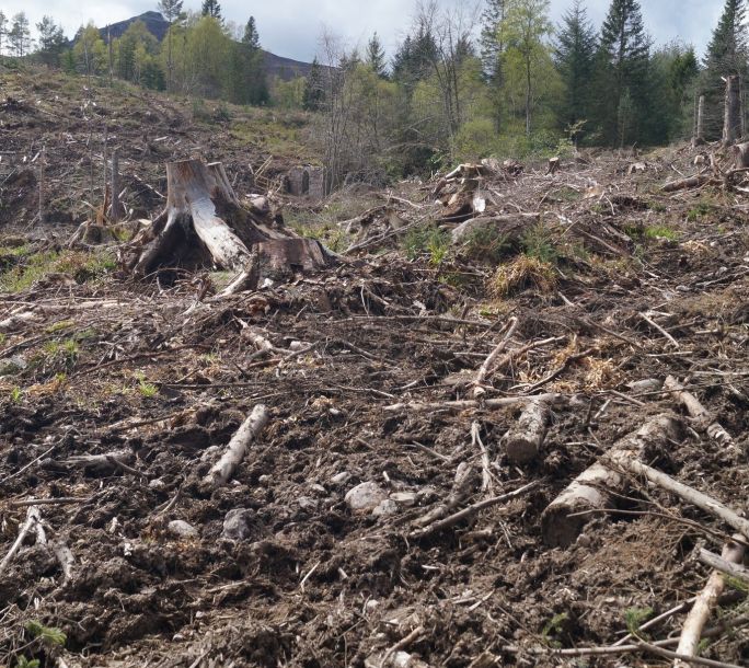 The site before work began with Mither Tap rising in the background.